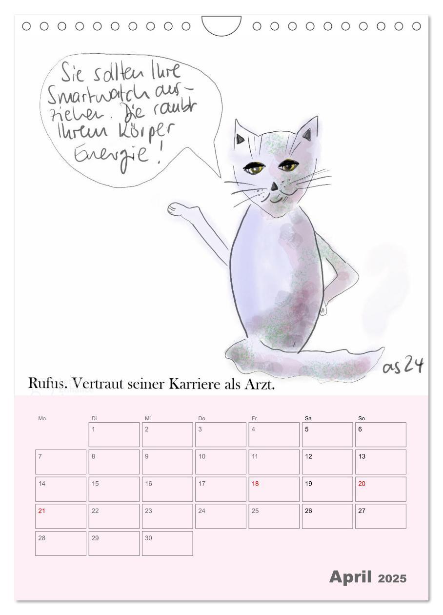 Bild: 9783457220238 | Therapie.Katzen (Wandkalender 2025 DIN A4 hoch), CALVENDO...