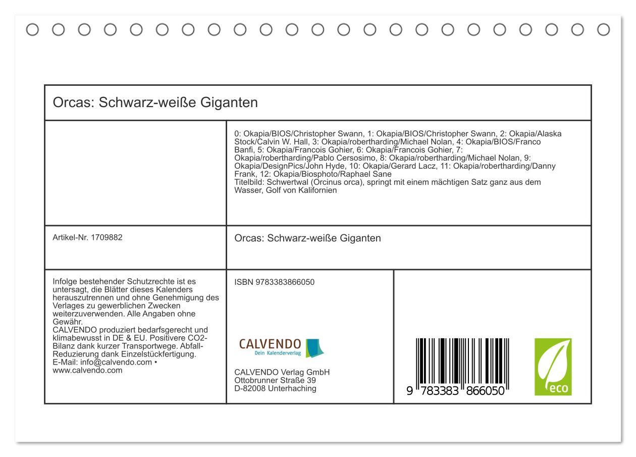 Bild: 9783383866050 | Orcas: Schwarz-weiße Giganten (Tischkalender 2025 DIN A5 quer),...