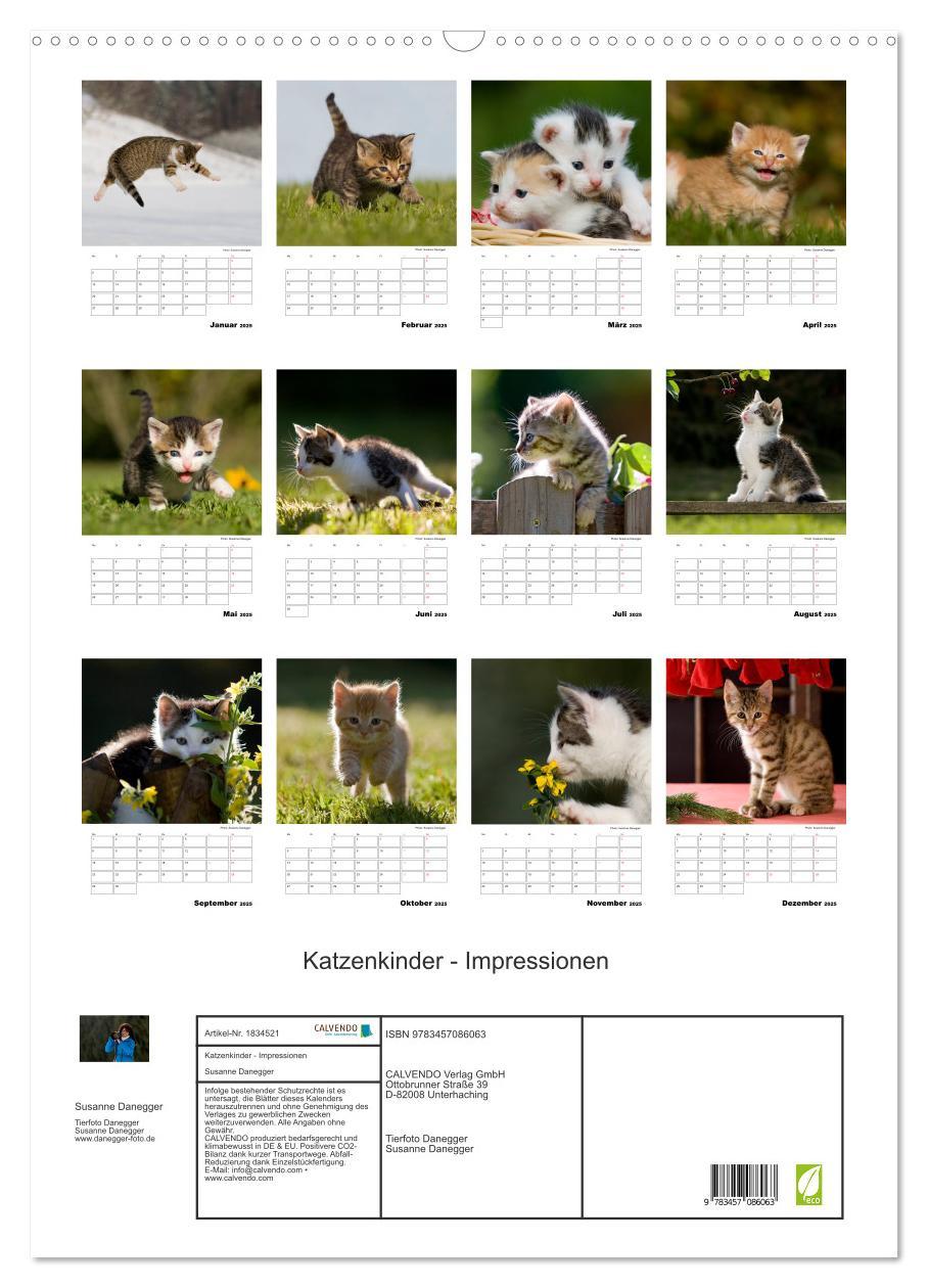 Bild: 9783457086063 | Katzenkinder - Impressionen (Wandkalender 2025 DIN A2 hoch),...