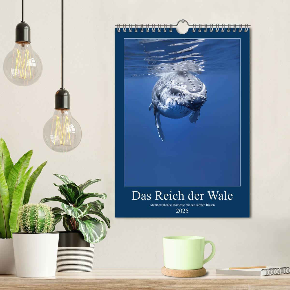 Bild: 9783435991402 | Im Reich der Wale (Wandkalender 2025 DIN A4 hoch), CALVENDO...