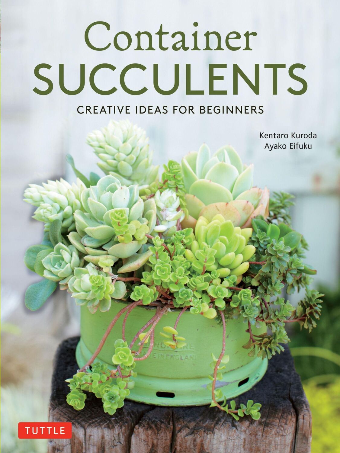 Cover: 9780804851053 | Container Succulents | Creative Ideas for Beginners | Eifuku (u. a.)