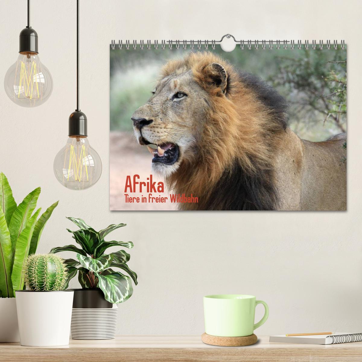 Bild: 9783435494118 | Afrika. Tiere in freier Wildbahn (Wandkalender 2025 DIN A4 quer),...