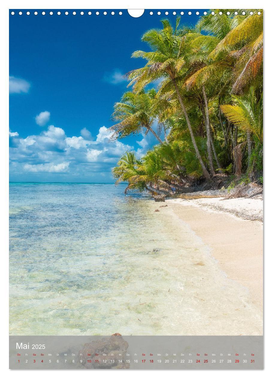 Bild: 9783435916153 | Karibischer Traum Isla Saona (Wandkalender 2025 DIN A3 hoch),...