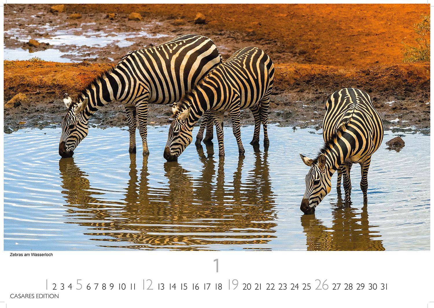 Bild: 9781835240618 | Kenia/Serengeti 2025 S 24x35 cm | Kalender | 14 S. | Deutsch | 2025