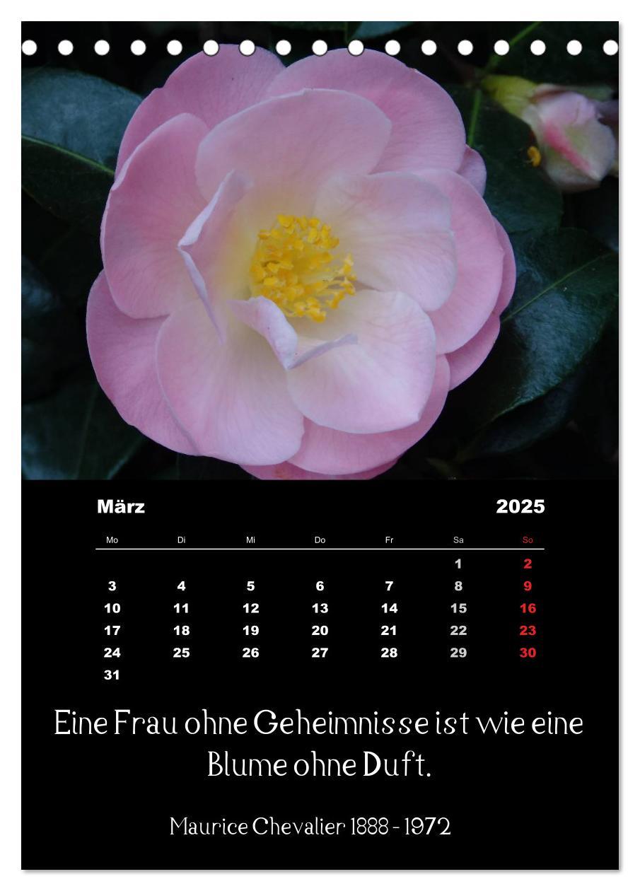 Bild: 9783457085660 | Sprüche und Zitate berühmter Personen über Blumen und Natur...