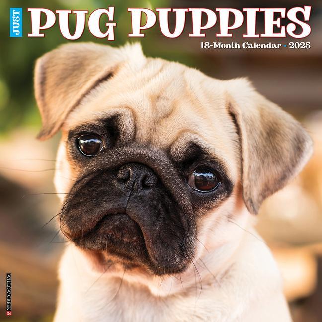 Cover: 9781549244568 | Just Pug Puppies 2025 12 X 12 Wall Calendar | Willow Creek Press