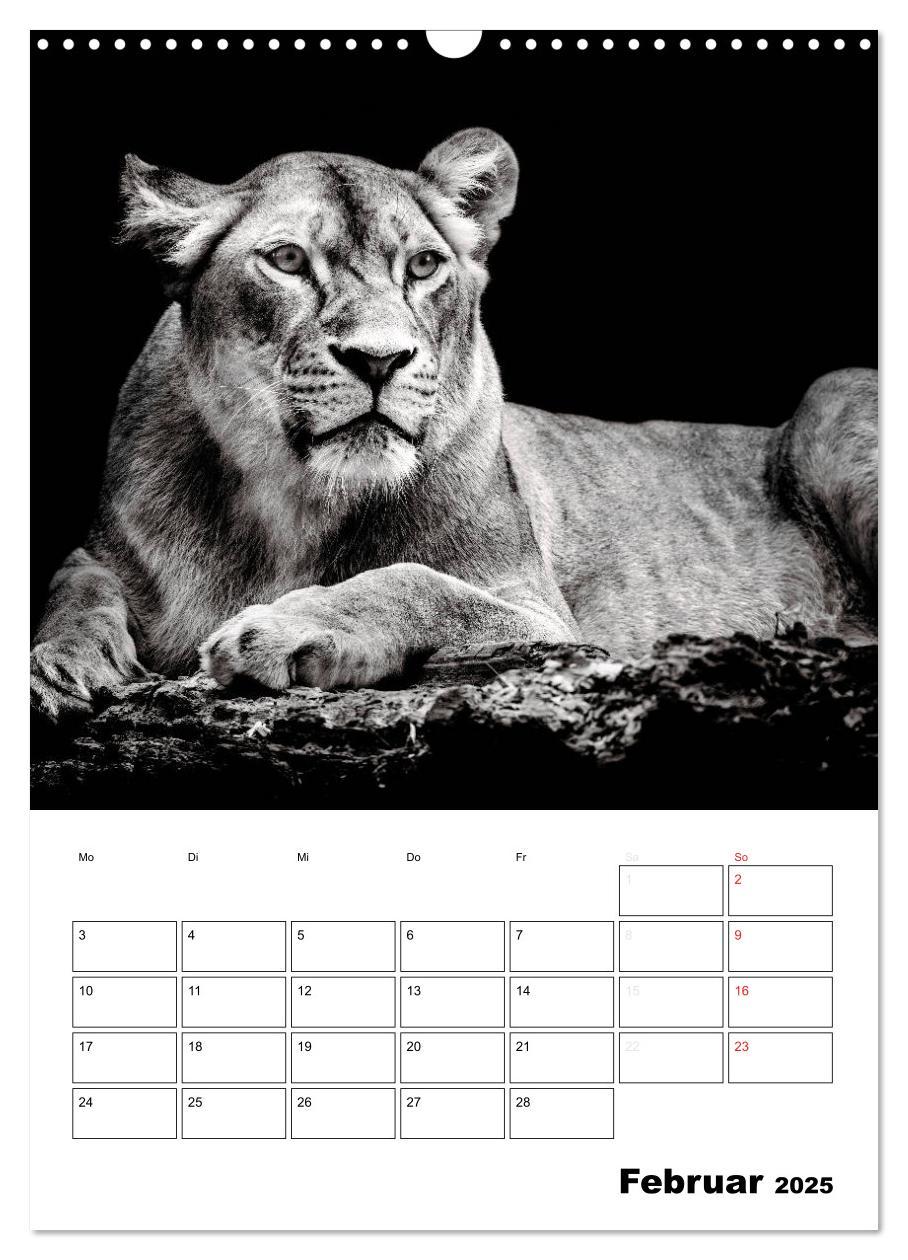 Bild: 9783457013199 | Charakterköpfe aus der Welt der Tiere (Wandkalender 2025 DIN A3...