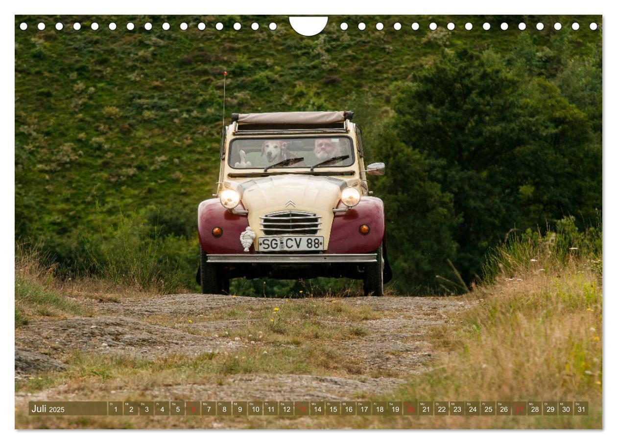 Bild: 9783435273881 | Die Ente ist sicher - Fahrspaß mit 2 CV Dolly (Wandkalender 2025...