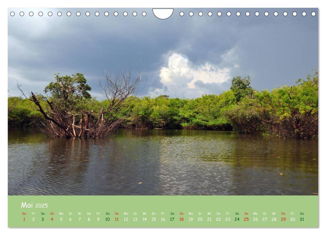 Bild: 9783435658541 | Am Amazonas (Wandkalender 2025 DIN A4 quer), CALVENDO Monatskalender