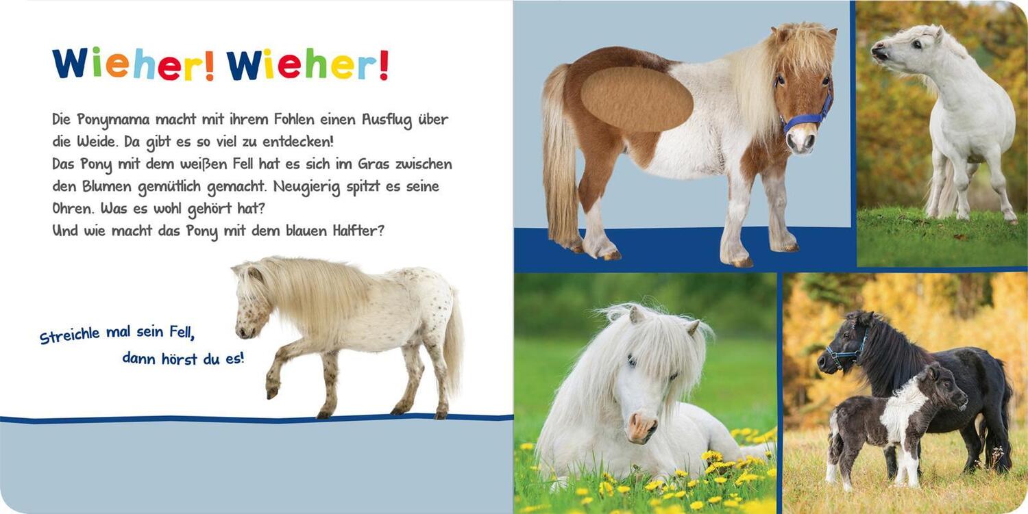 Bild: 9783845840673 | Hör mal rein, wer kann das sein? - Kuschelige Tiere | Buch | 12 S.