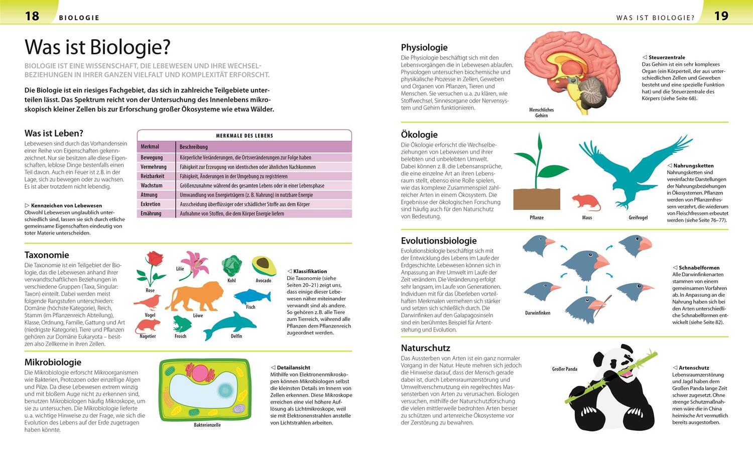 Bild: 9783831032587 | Biologie, Chemie, Physik für Eltern | Taschenbuch | für Eltern | 2017