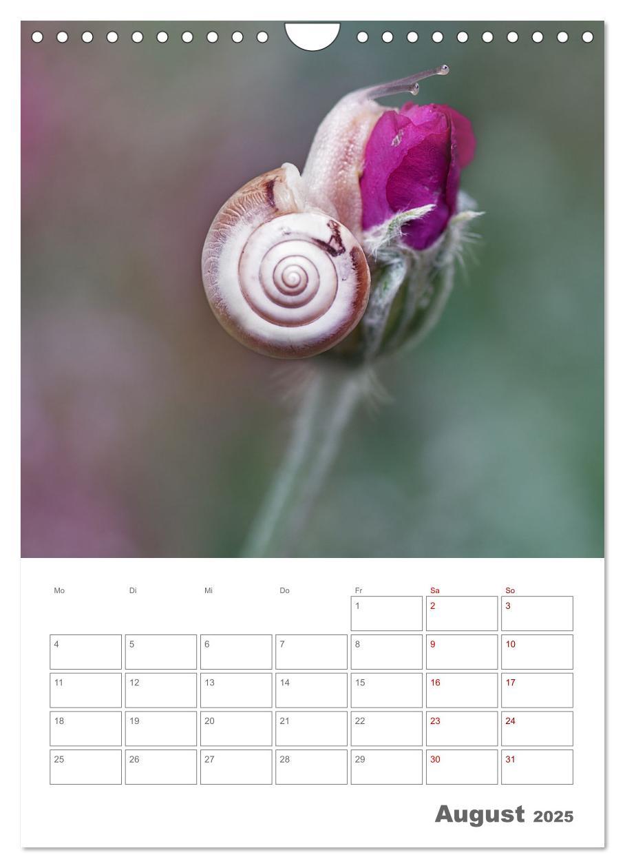 Bild: 9783435917648 | Helden in der Natur (Wandkalender 2025 DIN A4 hoch), CALVENDO...