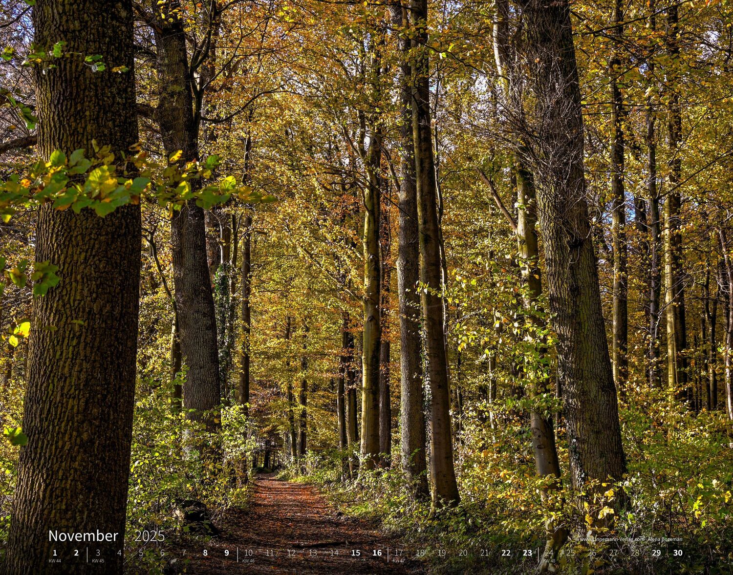 Bild: 9783862923427 | Wandern Hiking 2025 Großformat-Kalender 58 x 45,5 cm | Hiking 2025