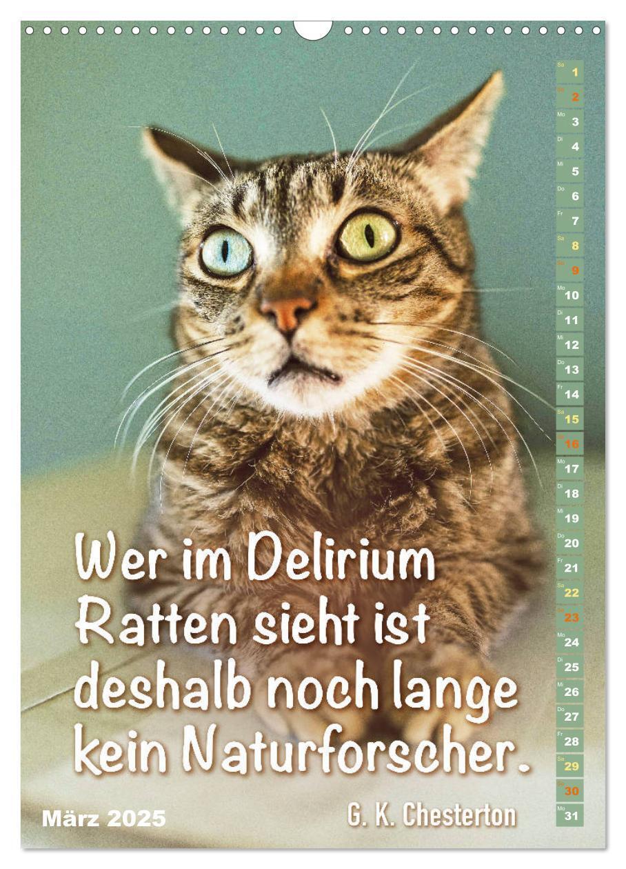 Bild: 9783435940172 | Der literarische Katerkalender (Wandkalender 2025 DIN A3 hoch),...