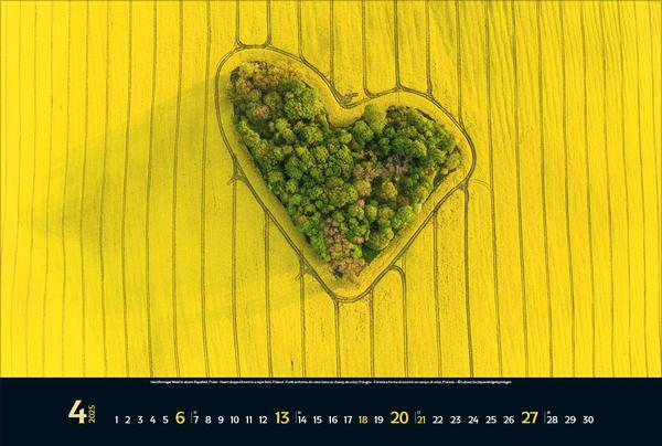 Bild: 9783731880066 | Aerial Art 2025 | Verlag Korsch | Kalender | 14 S. | Deutsch | 2025