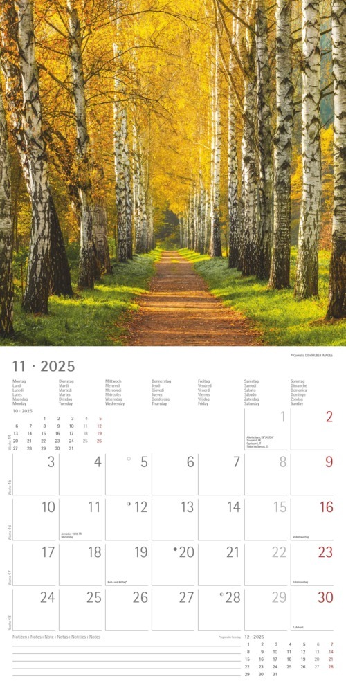 Bild: 4251732340919 | Alpha Edition - Wege 2025 Broschürenkalender, 30x30cm, Wandkalender...