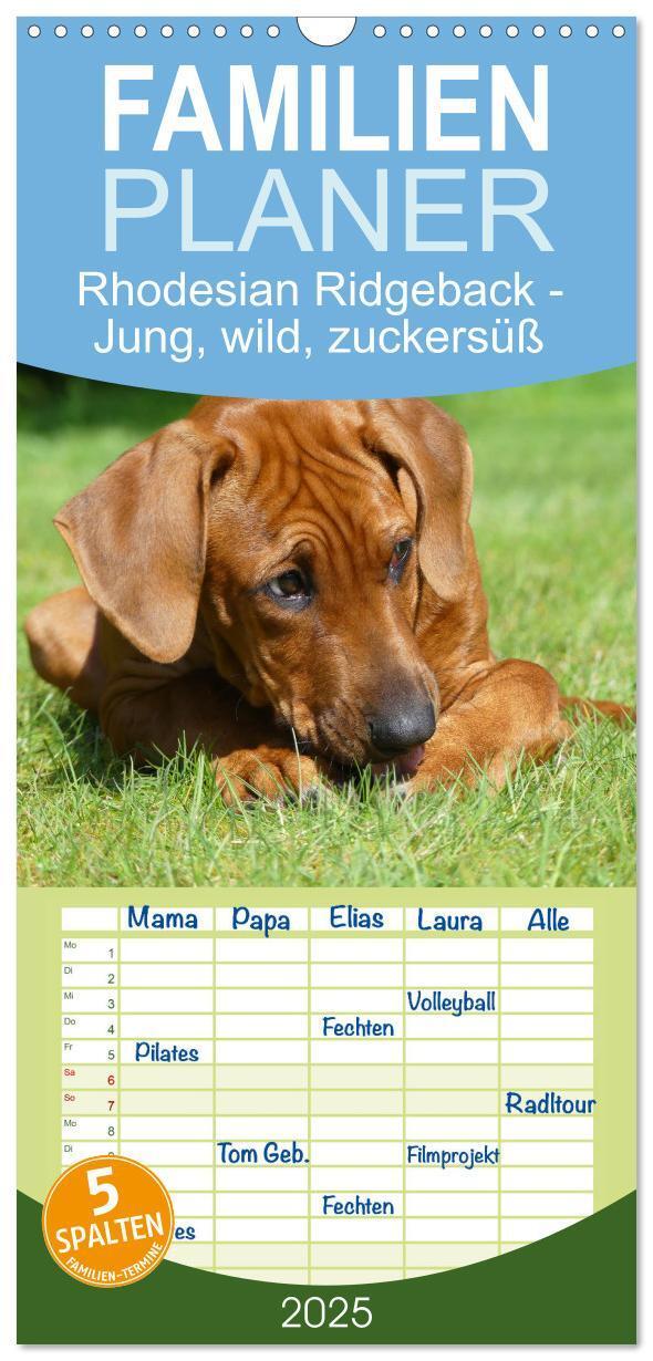 Cover: 9783457096239 | Familienplaner 2025 - Rhodesian Ridgeback - Jung, wild, zuckersüß...