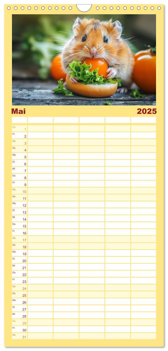 Bild: 9783457193341 | Familienplaner 2025 - Lustige Hamster mit 5 Spalten (Wandkalender,...