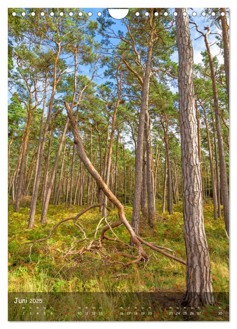 Bild: 9783435956654 | Wunderbare Ostseelandschaft Fischland-Darß-Zingst (Wandkalender...