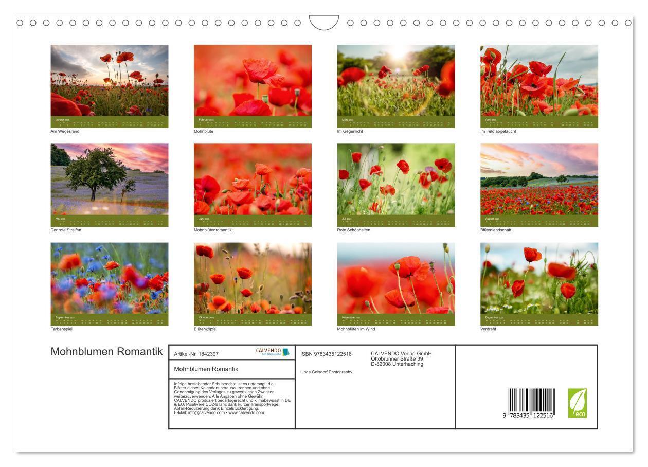 Bild: 9783435122516 | Mohnblumen Romantik (Wandkalender 2025 DIN A3 quer), CALVENDO...