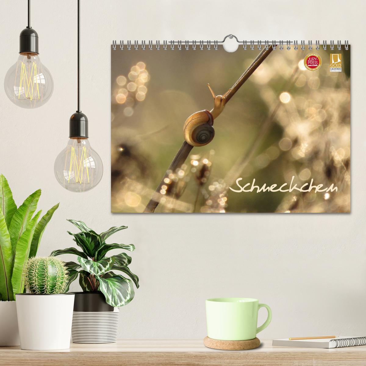 Bild: 9783435640041 | Schneckchen (Wandkalender 2025 DIN A4 quer), CALVENDO Monatskalender