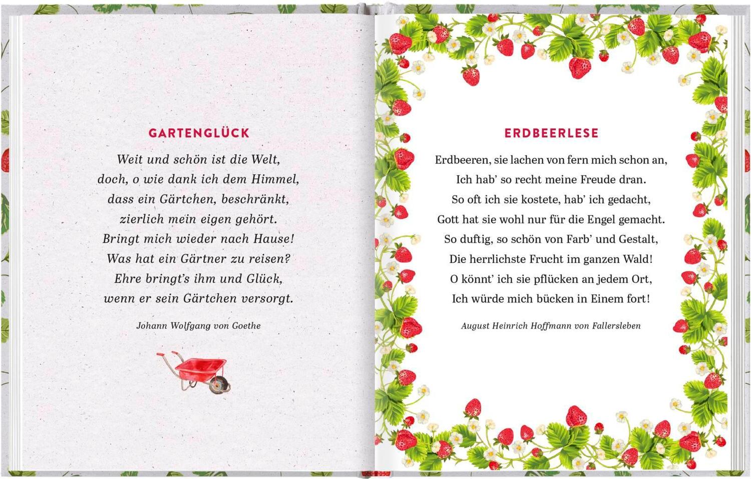 Bild: 9783629008091 | Gartenlust und Erdbeerglück | Die schönsten Sommergedanken | Verlag