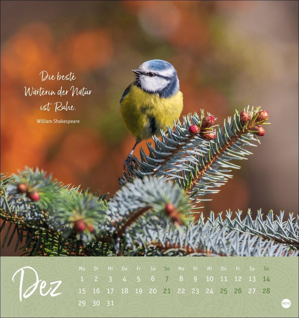 Bild: 9783756406944 | Stille Momente Postkartenkalender 2025 | Heye | Kalender | 13 S.