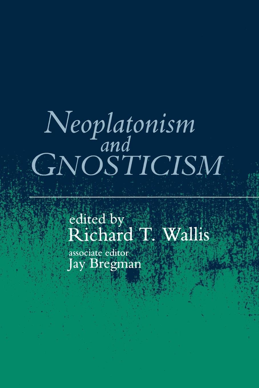 Cover: 9780791413388 | Neoplatonism and Gnosticism | Rich T. Wallis | Taschenbuch | Paperback