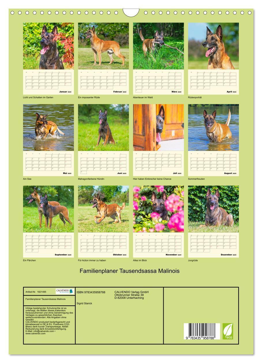 Bild: 9783435958788 | Familienplaner Tausendsassa Malinois (Wandkalender 2025 DIN A3...