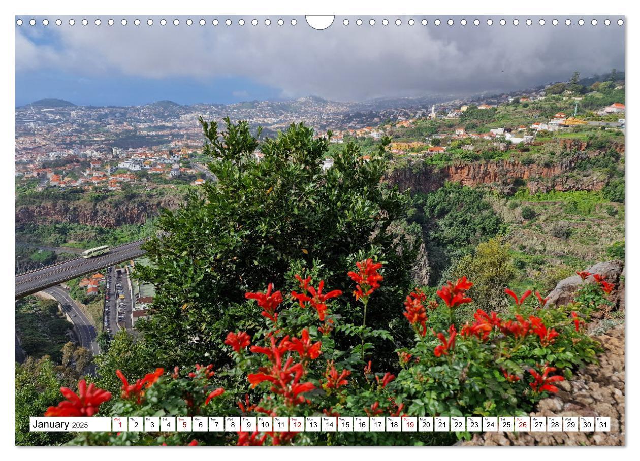 Bild: 9781325834150 | Madeira island of eternal spring (Wall Calendar 2025 DIN A3...