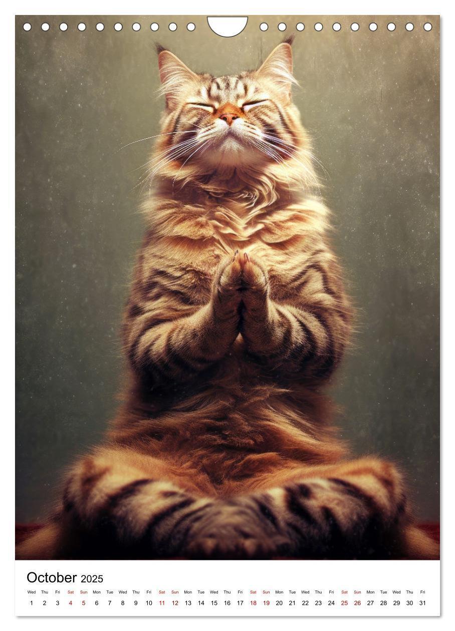 Bild: 9781325998203 | Meow Yoga (Wall Calendar 2025 DIN A4 portrait), CALVENDO 12 Month...