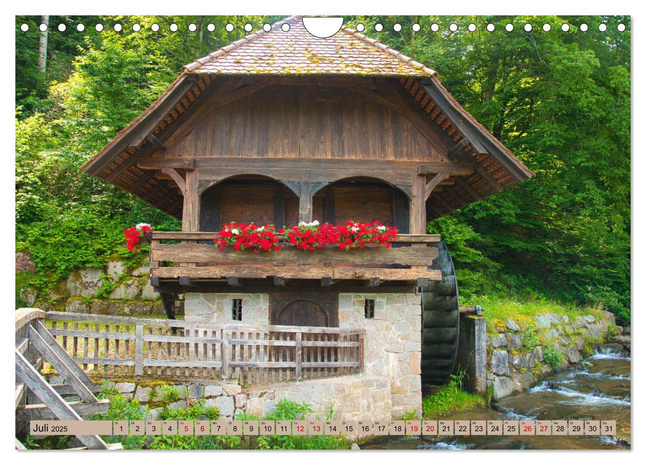 Bild: 9783435036189 | Ortenau - die badische Toskana (Wandkalender 2025 DIN A4 quer),...