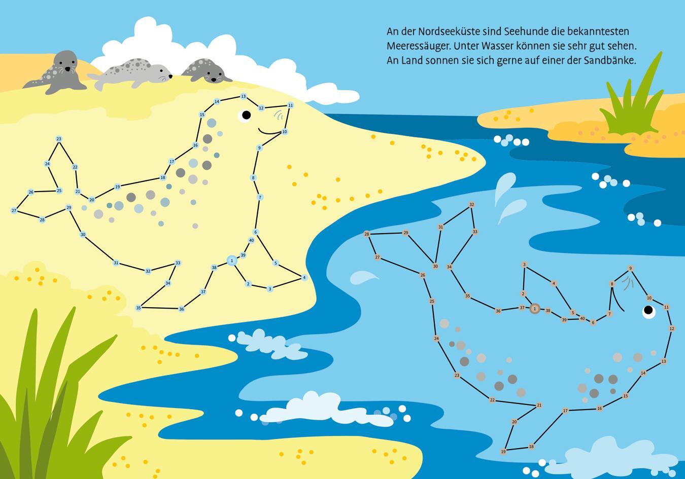 Bild: 9783788647032 | Total bunt von Punkt zu Punkt. Meerestiere. Von 1 bis 100 | Broschüre