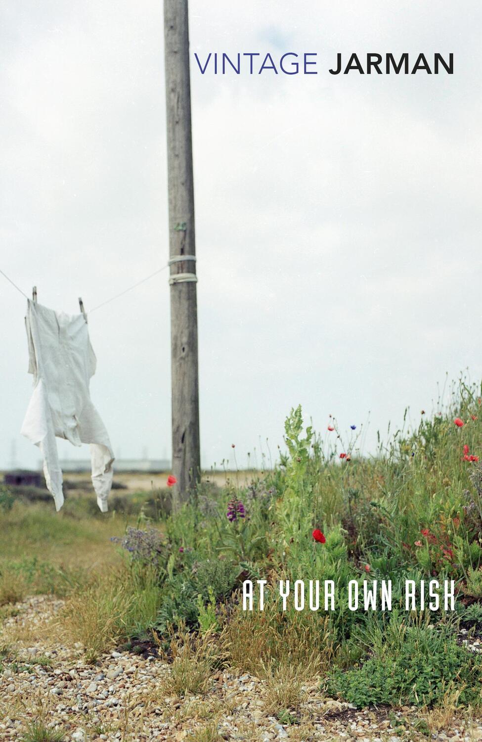 Cover: 9780099222910 | At Your Own Risk | A Saint's Testament | Derek Jarman | Taschenbuch