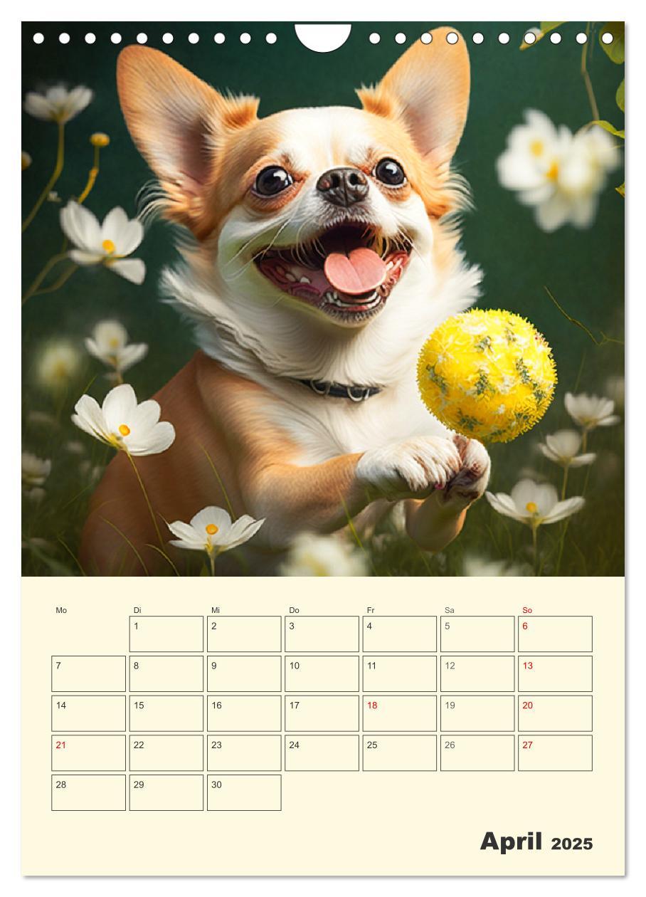 Bild: 9783435871766 | Witzige Chihuahuas. Glückliche Temperamentbündel (Wandkalender 2025...