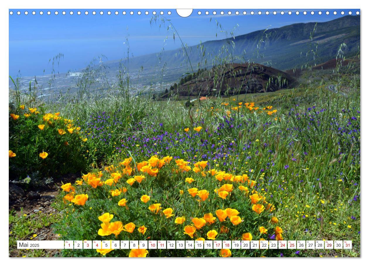 Bild: 9783457222522 | Teneriffa - Insel der Glückseligen (Wandkalender 2025 DIN A3 quer),...