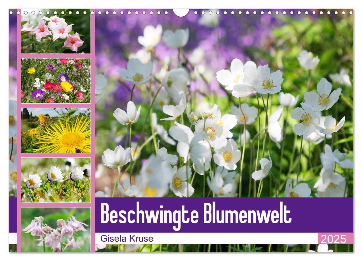 Cover: 9783435172696 | Beschwingte Blumenwelt (Wandkalender 2025 DIN A3 quer), CALVENDO...