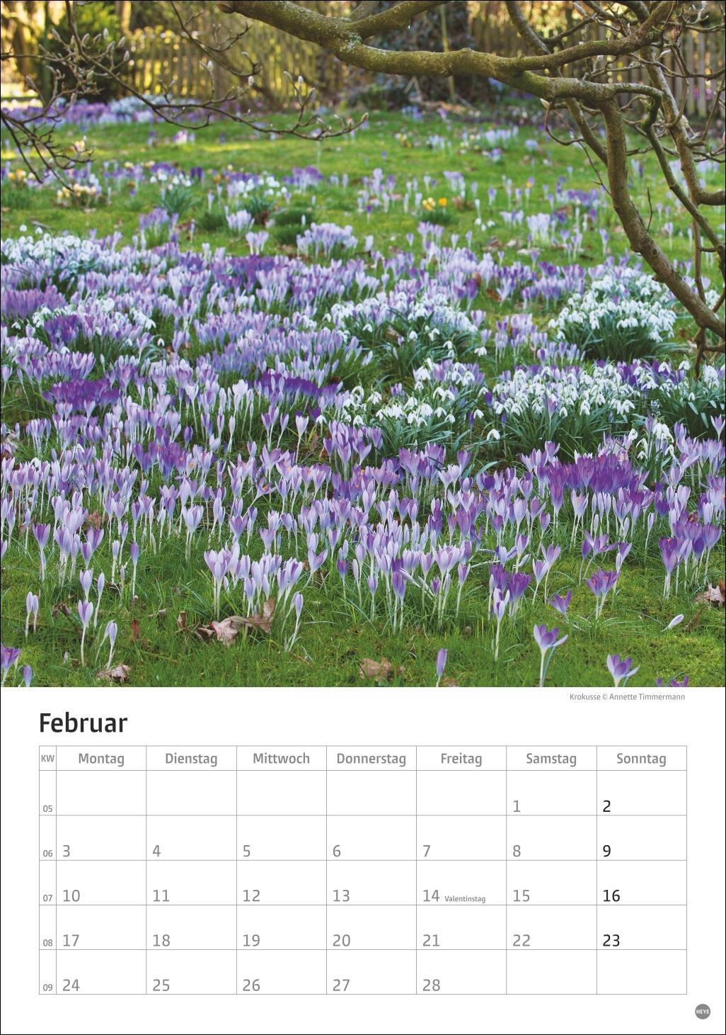 Bild: 9783756405572 | Gartenzauber Kalender 2025 | Heye | Kalender | Spiralbindung | 13 S.