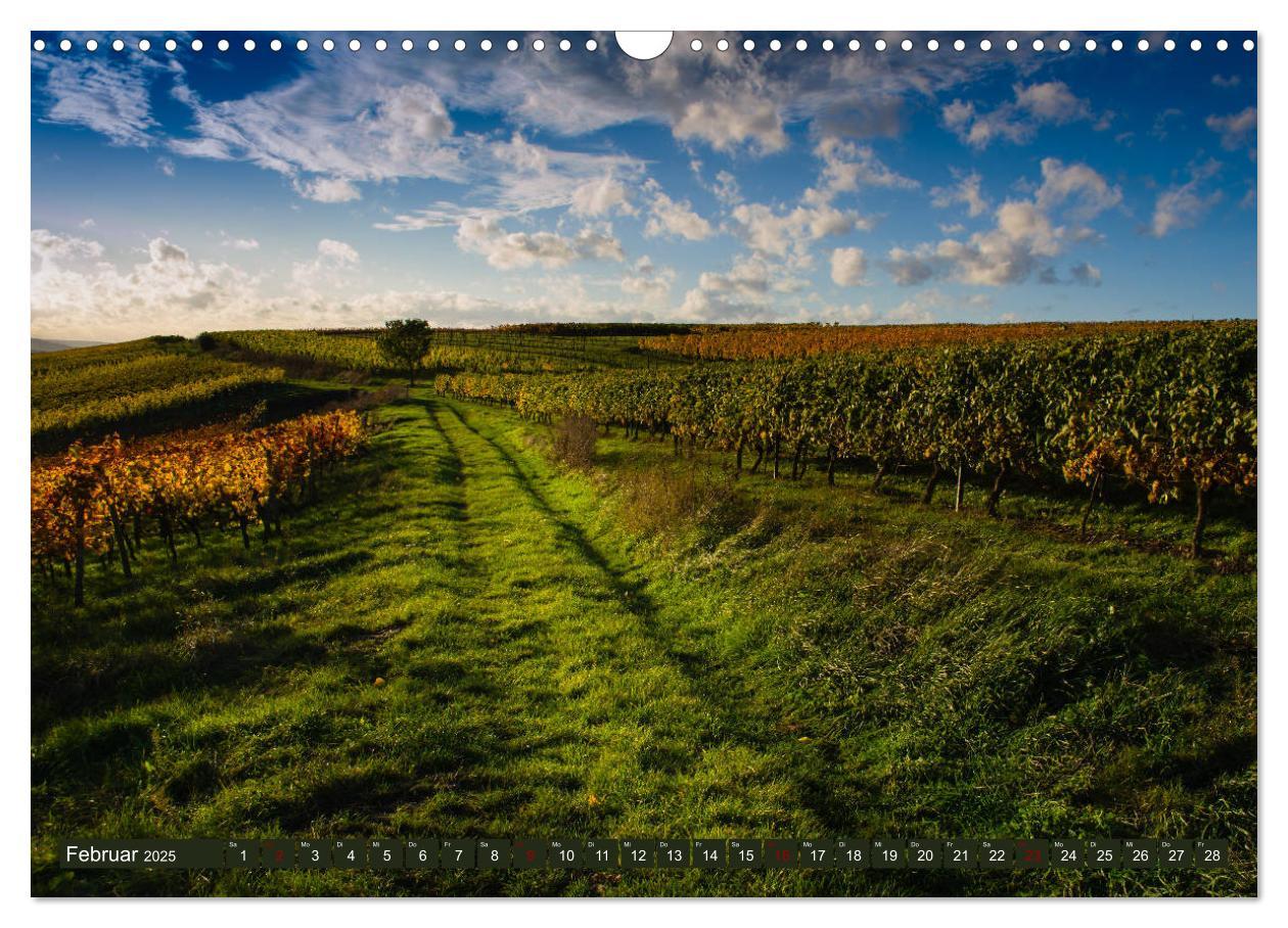 Bild: 9783435337705 | Wein - Landschaften (Wandkalender 2025 DIN A3 quer), CALVENDO...