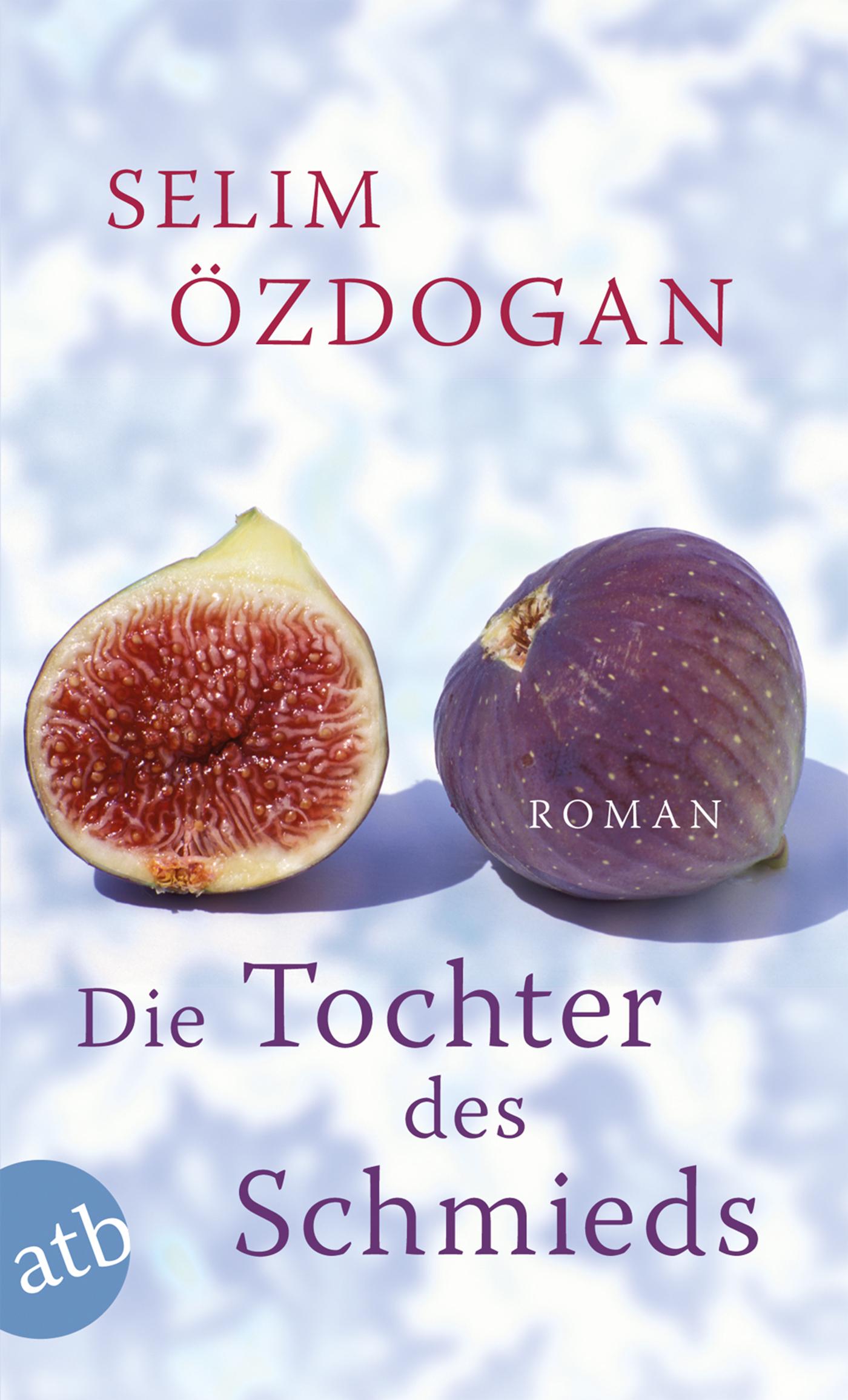 Cover: 9783746627342 | Die Tochter des Schmieds | Selim Özdogan | Taschenbuch | 320 S. | 2011