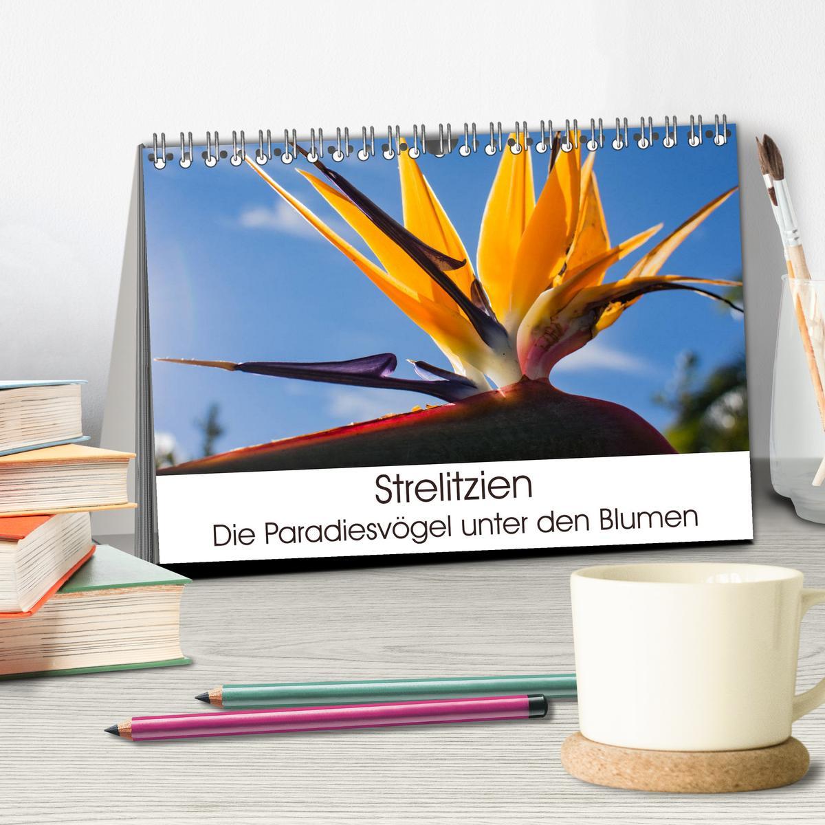 Bild: 9783435389124 | Strelitzien - die Paradiesvögel unter den Blumen (Tischkalender...