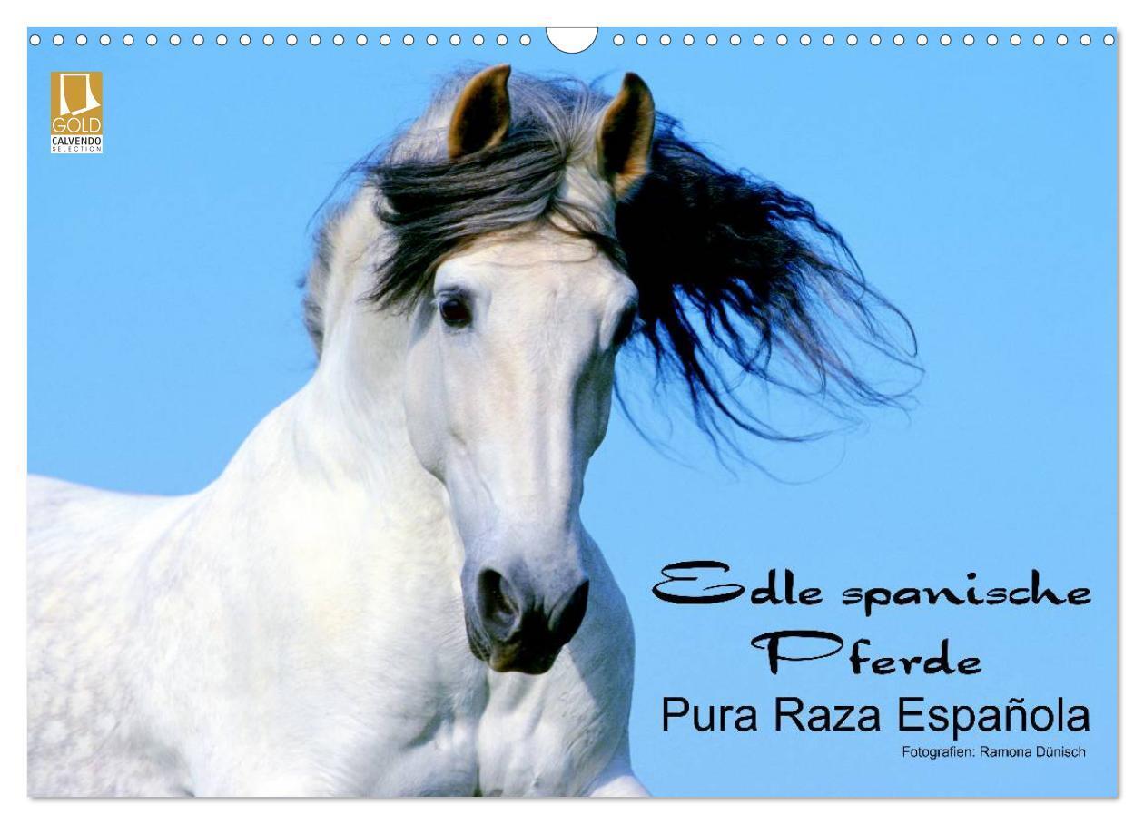 Cover: 9783435746095 | Edle spanische Pferde - Pura Raza Espanola (Wandkalender 2025 DIN...