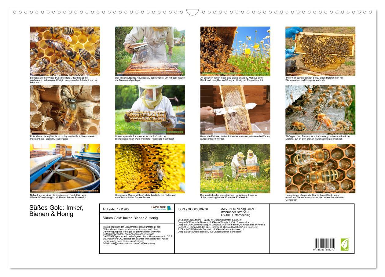 Bild: 9783383886270 | Süßes Gold: Imker, Bienen &amp; Honig (Wandkalender 2025 DIN A2 quer),...