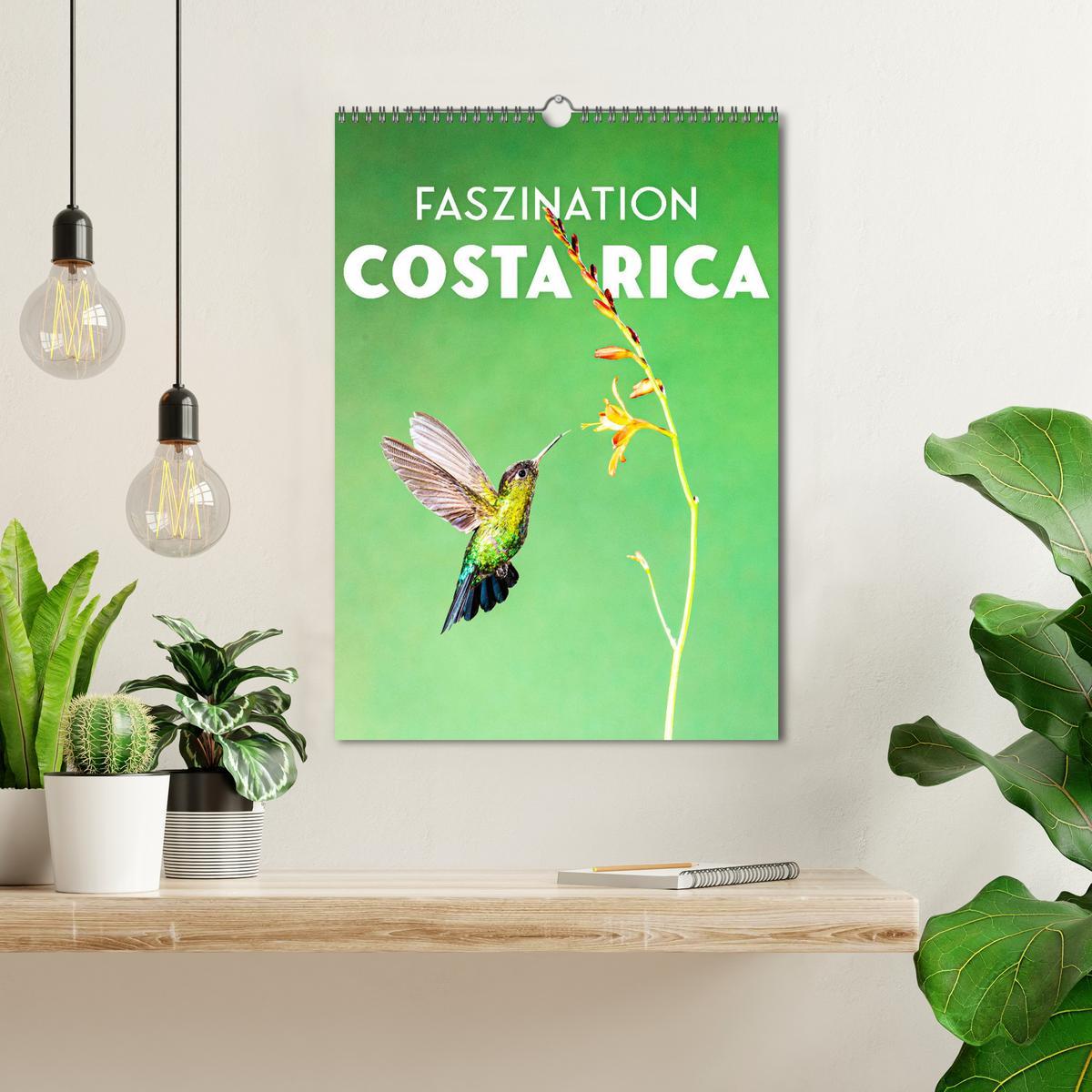 Bild: 9783435914371 | Faszination Costa Rica (Wandkalender 2025 DIN A3 hoch), CALVENDO...