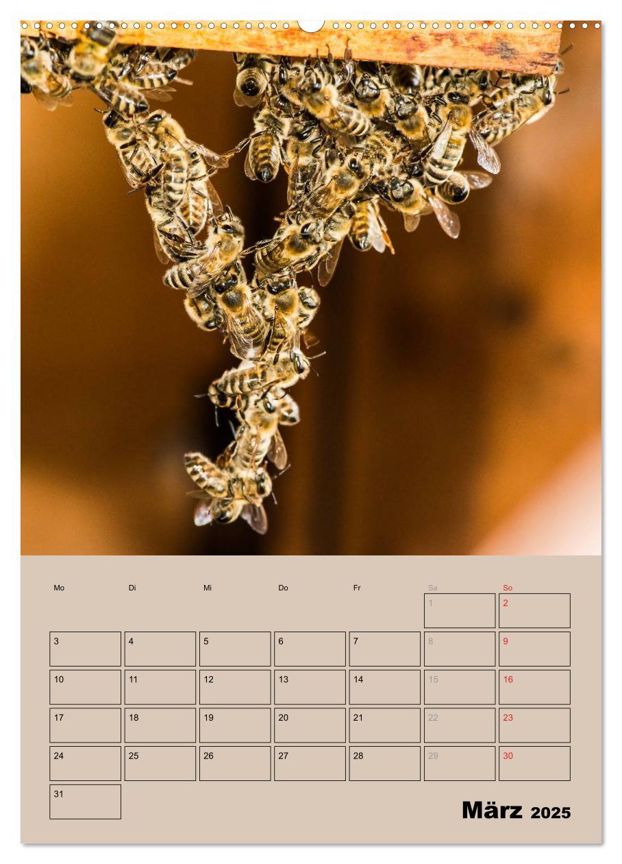 Bild: 9783457051443 | Bienenplaner (Wandkalender 2025 DIN A2 hoch), CALVENDO Monatskalender