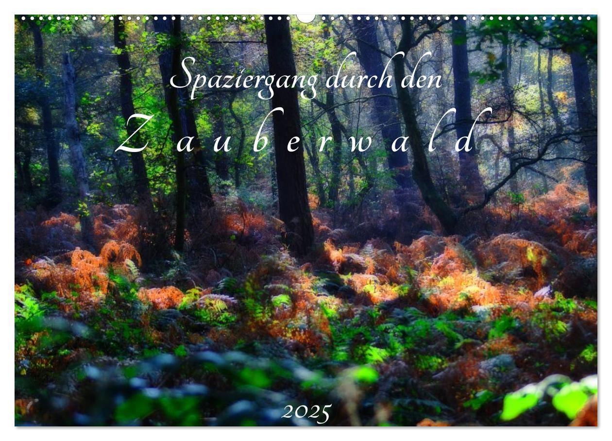 Cover: 9783435520138 | Spaziergang durch den Zauberwald (Wandkalender 2025 DIN A2 quer),...