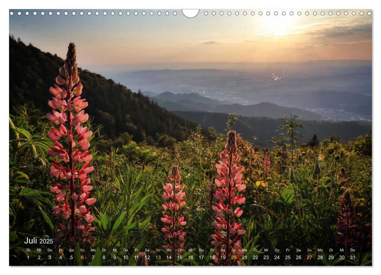 Bild: 9783457235447 | Faszination Schwarzwald (Wandkalender 2025 DIN A3 quer), CALVENDO...