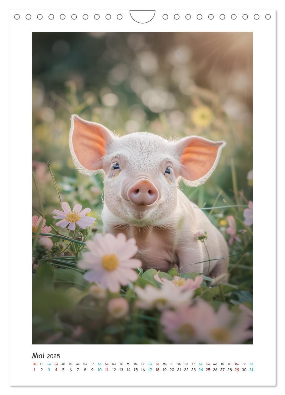 Bild: 9783457160459 | Schwein gehabt (Wandkalender 2025 DIN A4 hoch), CALVENDO...