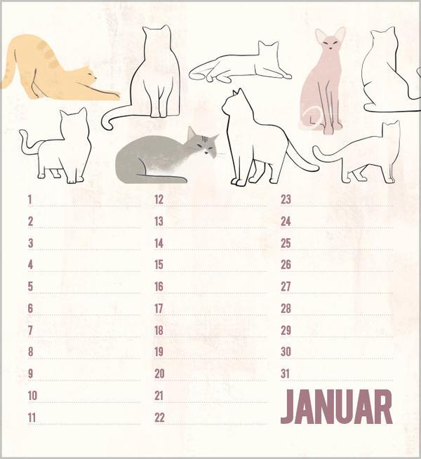 Bild: 9783731880509 | Geburtstagskalender Cats | Verlag Korsch | Kalender | 13 S. | Deutsch