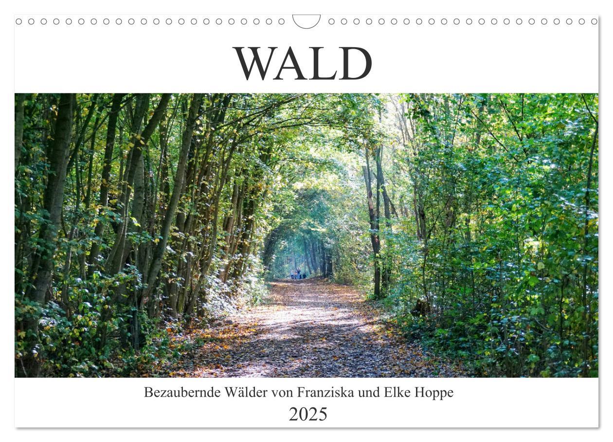 Cover: 9783435269891 | Wald - bezaubernde Wälder (Wandkalender 2025 DIN A3 quer), CALVENDO...